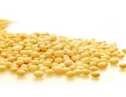 卵磷脂可以长期服用吗,过量服用卵磷脂的危害