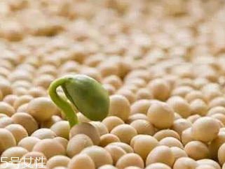 大豆卵磷脂适合人群,大豆卵磷脂不适合人群 大豆卵磷脂适合人群,大豆卵磷脂不适合人群