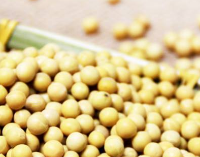 卵磷脂小体少怎么治疗,卵磷脂小体少量什么意思