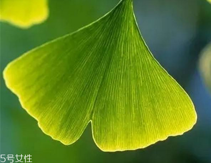 记忆力下降的原因,内分泌失调记忆力会减退吗? 记忆力下降的原因,内分泌失调记忆力会减退吗?