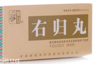 右归丸服用注意事项,服用右归丸需注意事项