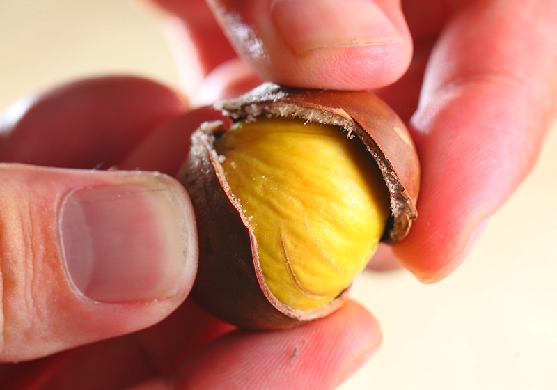 储存栗子的好方法,栗子怎么存放保鲜