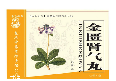 金匮肾气丸怎么服用,同仁堂金匮肾气丸怎么样