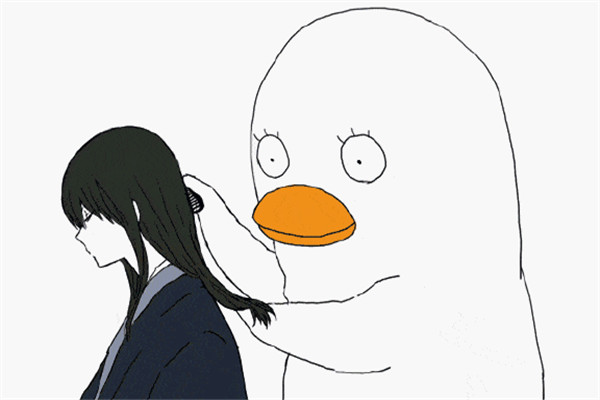 男士植发费用(男生植发大概需要多少钱)