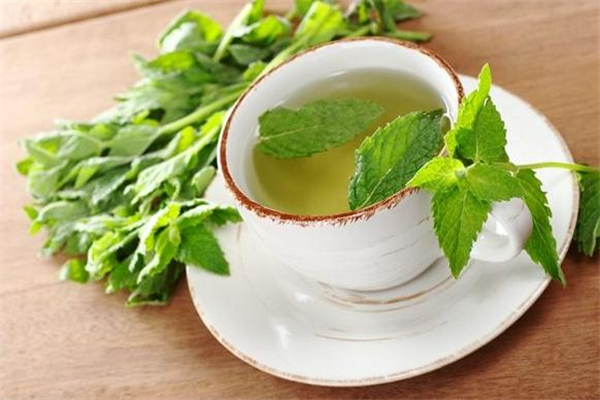 喝薄荷茶有什么好处(喝薄荷茶有什么好处)