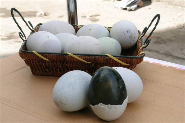 皮蛋热量是多少(皮蛋热量是多少大卡)