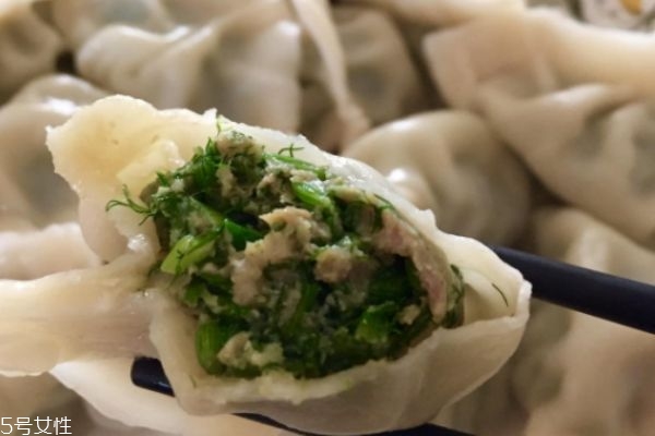 茴香饺子的食疗价值(小茴香饺子的功效和作用)