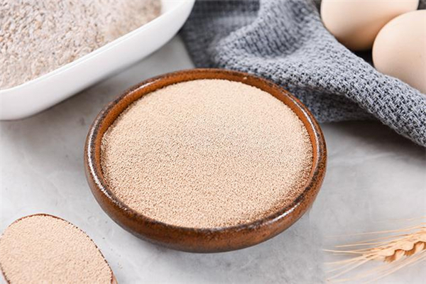 酵母粉和泡打粉做包子可以替代吗(包子可以用泡打粉代替酵母吗)