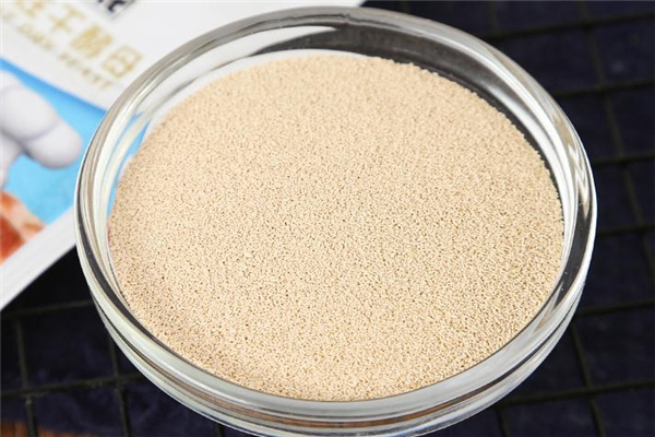 酵母粉怎么挑选(酵母粉怎么挑选)