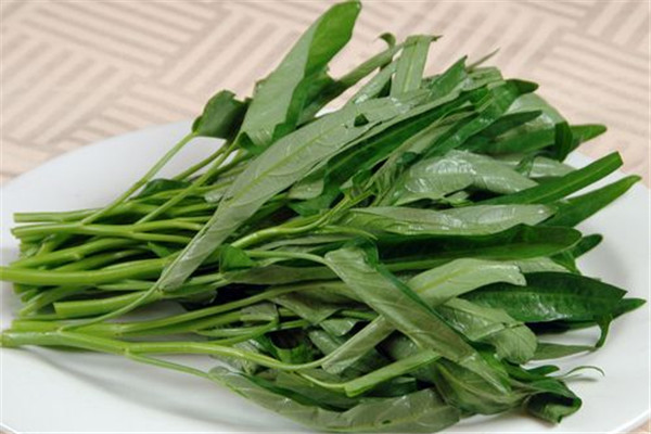 空心菜宜和什么一起吃(空心菜忌和什么一起吃)