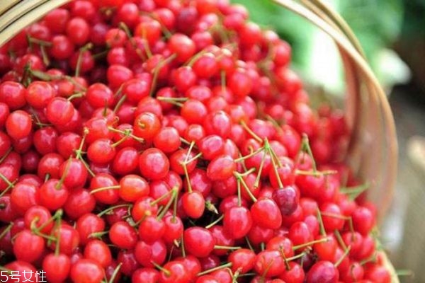 食用樱桃的好处(食用樱桃的好处)