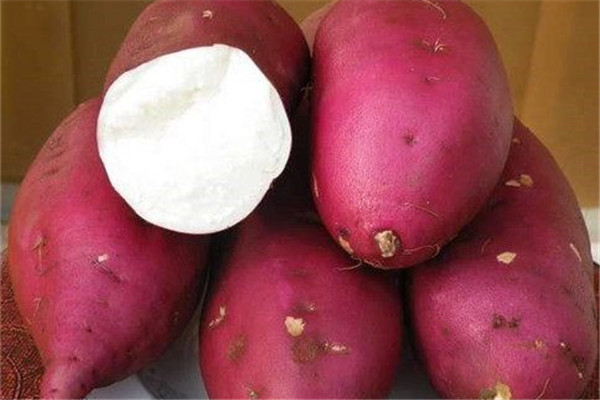 红薯的功效(红薯的功效和作用及营养价值)