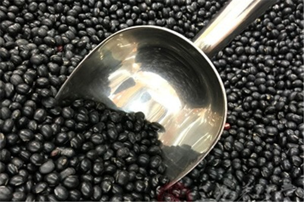 黑豆的营养价值(黑豆的营养价值及功效和作用)
