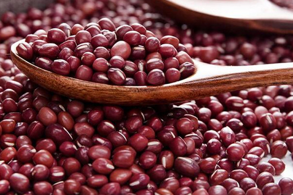红豆的功效和作用(红豆的功效和作用及营养价值)
