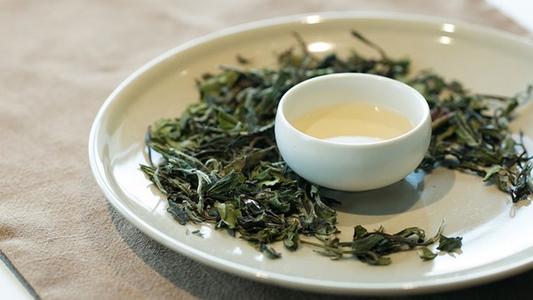 政和白茶的主要成分(政和白茶属于什么茶类) 政和白茶的主要成分(政和白茶属于什么茶类)