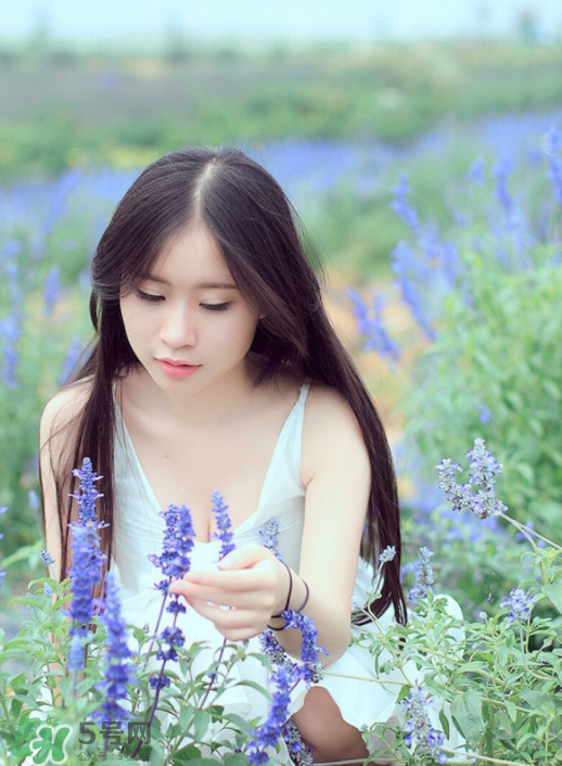 乳腺炎食谱推荐(乳腺炎的饮食菜谱)