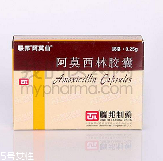 吃阿莫西林能喝酒吗?,吃阿莫西林能喝酒吗多久能喝酒