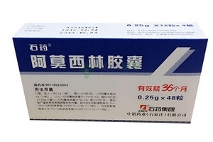 阿莫西林药理毒理,阿莫西林的药理作用