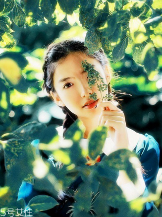 鹿胎膏可以帮助怀孕吗,鹿胎膏能怀孕吗