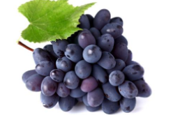 葡萄籽提取物有用吗,葡萄籽提取物的副作用 葡萄籽提取物有用吗,葡萄籽提取物的副作用