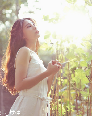 排卵期是什么事,关于排卵,正确的是