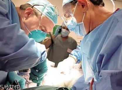 中国哪里可以冷冻遗体