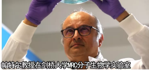 酒被列为一类致癌物,酒是第一类致癌物 酒被列为一类致癌物,酒是第一类致癌物