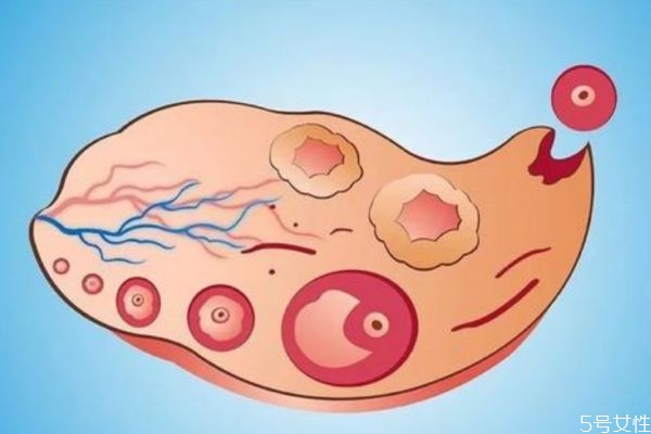 排卵期的症状和表现都有哪些,排卵期是什么症状卵是什么样的