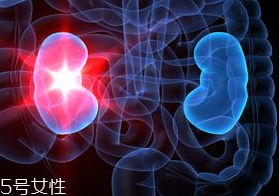 肾病患者可以吃核桃吗,肾病综合症的人可以吃核桃吗