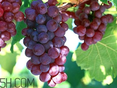 产后胸部下垂吃什么可以紧致提升,产后胸部下垂干瘪吃什么能恢复 产后胸部下垂吃什么可以紧致提升,产后胸部下垂干瘪吃什么能恢复