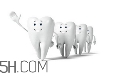 关于牙齿的基本知识,牙齿的相关知识