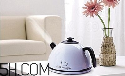 加湿器对皮肤有什么好处,加湿器里加什么对皮肤好 加湿器对皮肤有什么好处,加湿器里加什么对皮肤好