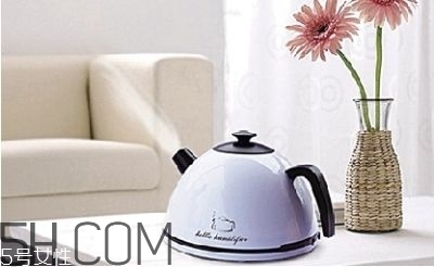 加湿器什么时候用最好,加湿器什么时候用合适