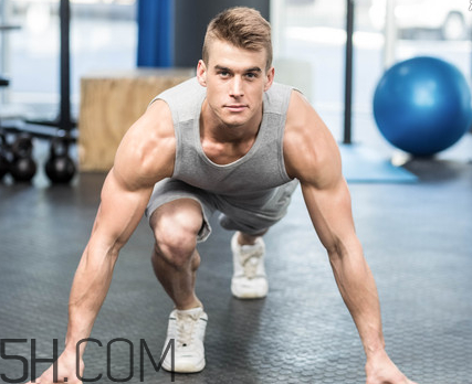 金戈多久吃一次合适,金戈一般间隔多久吃一次