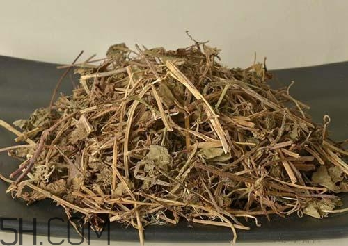 透骨草的功效和作用的功能和主治,透骨草的功效和作用图片