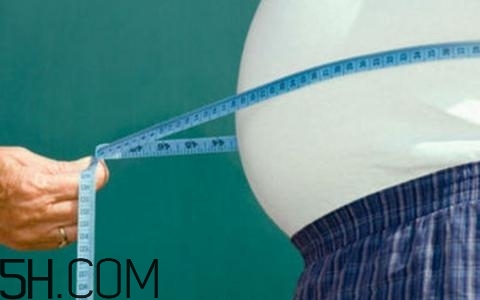 腹部肥胖的危害,腹部肥胖的危害图片 腹部肥胖的危害,腹部肥胖的危害图片
