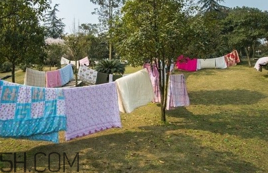 晒被子两面都要晒吗,晒被子只晒一面行吗