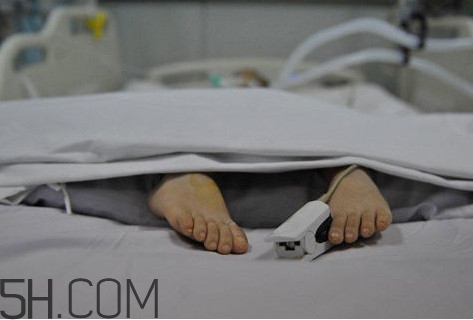 脑死亡判定标准不包括,脑死亡能否成为死亡的判定标准