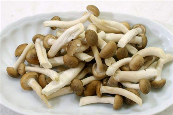 炸蟹味菇小技巧(炸蟹味菇的做法窍门)