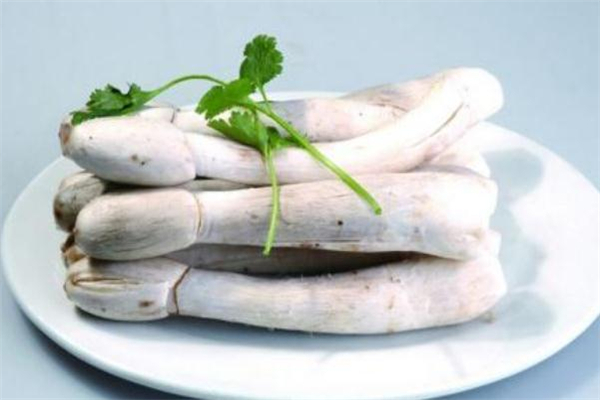 鸡腿菇的营养成分(鸡腿菇的营养成分) 鸡腿菇的营养成分(鸡腿菇的营养成分)