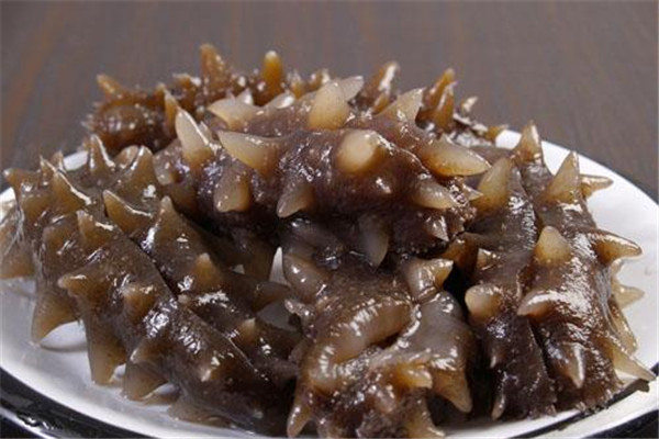 海参的功效和作用(海参的功效和作用及营养价值)