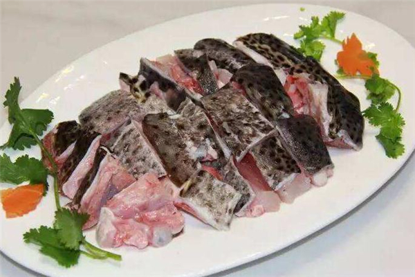 石斑鱼火锅营养价值(石斑鱼火锅是什么鱼)