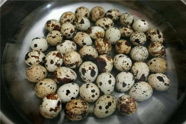 胆固醇高能吃鹌鹑蛋吗(胆固醇高可以吃鹌鹑蛋吗)