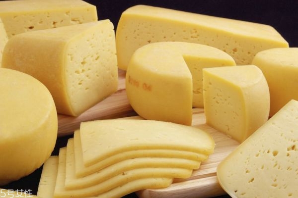 奶酪芝士的种类(奶酪是芝士吗是哪种)