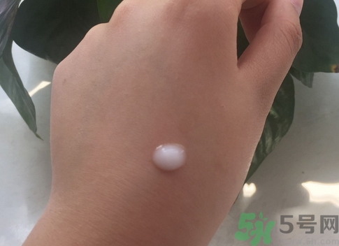 亮点中的亮点,独特的亮点