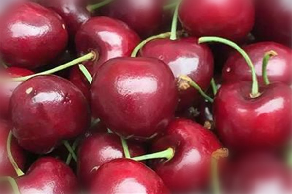 车厘子不能和什么一起吃(车厘子不能和什么一起吃?)