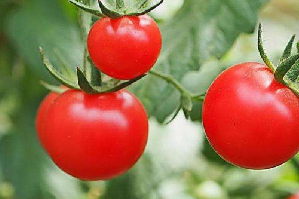 口红是冷藏还是冷冻(口红是冷藏还是冷冻)