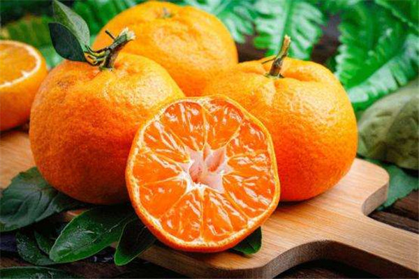 橘子的禁忌(橘子的禁忌食物)