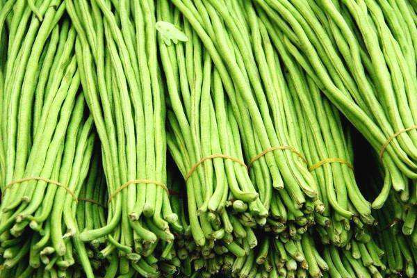 豆角的做法(豆角的做法大全家常) 豆角的做法(豆角的做法大全家常)