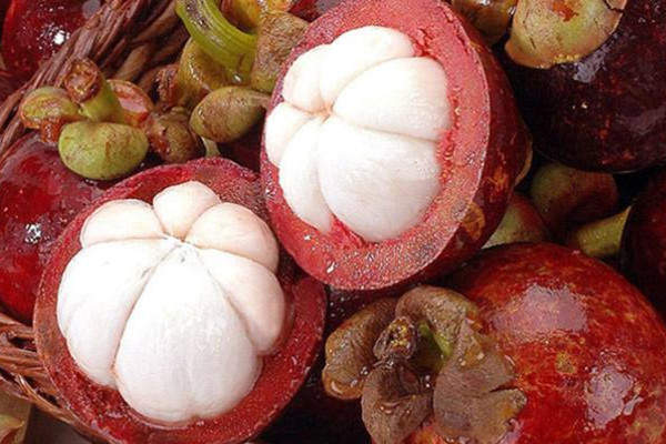 山竹的功效和作用(山竹的功效和作用一天能吃几个?)